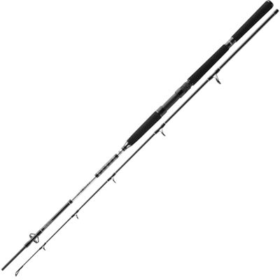 Daiwa Canne à pêche BG Offshore Pilk 2,70 m 50-165 g - Publicité Daiwa Canne à pêche BG Offshore Pilk 2,70 m 50-165 g - Publicité
