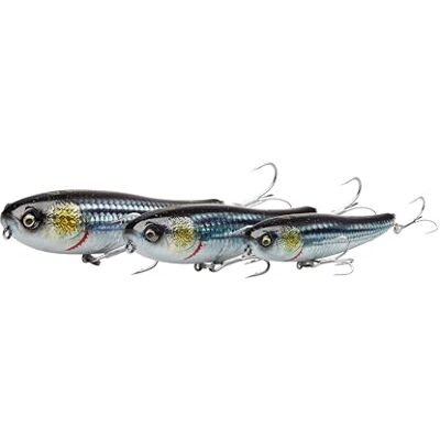 Savage Gear Bullet Mullet Leurre de pêche de qualité supérieure pour Les pêcheurs en Eau Douce et en Eau salée, idéal pour Le Bar, Le brochet, et Plus Encore Mirror Ayu Loose Scales 5.5 cm - Publicité Savage Gear Bullet Mullet Leurre de pêche de qualité supérieure pour Les pêcheurs en Eau Douce et en Eau salée, idéal pour Le Bar, Le brochet, et Plus Encore Mirror Ayu Loose Scales 5.5 cm - Publicité