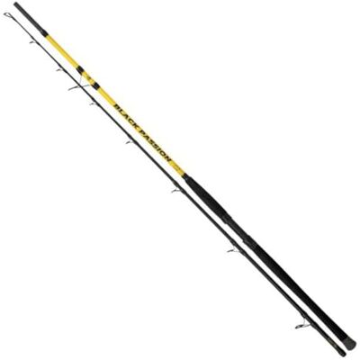 Black Cat Black Passion G2 Bank 3,00 m 600 g Canne à pêche pour poisson-chat, Canne pour la pêche au poisson-chat, Canne télescopique pour la pêche au bord de l'eau - Publicité Black Cat Black Passion G2 Bank 3,00 m 600 g Canne à pêche pour poisson-chat, Canne pour la pêche au poisson-chat, Canne télescopique pour la pêche au bord de l'eau - Publicité