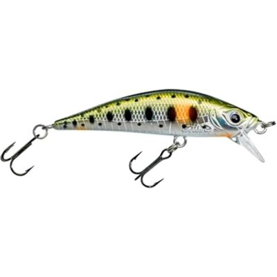 GUNKI Poisson Nageur Gamera 50 SP 5cm 2.3g Spot Green Trout Suspending 37087 - Publicité GUNKI Poisson Nageur Gamera 50 SP 5cm 2.3g Spot Green Trout Suspending 37087 - Publicité