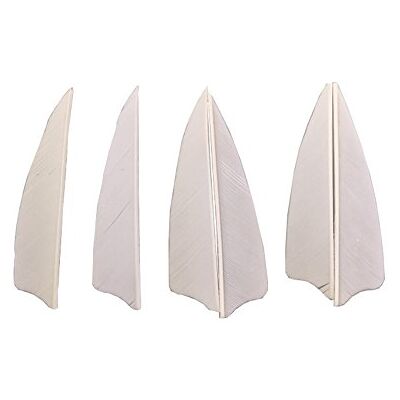AMEYXGS MILAEM Tir à l'arc Plumes Plume de flèche Plumes Naturelles de 3 Pouces (Blanc,Paquet de 50) - Publicité AMEYXGS MILAEM Tir à l'arc Plumes Plume de flèche Plumes Naturelles de 3 Pouces (Blanc,Paquet de 50) - Publicité
