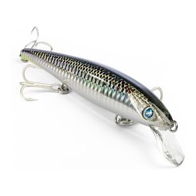 Seaspin Eja 130 Bullet – Leurre Artificiel pour la Pêche au Spinning, Jerk Minnow Coulant 130 mm 28 g – Nage Puissante, Lancers Longs – pour Prédateurs Marins ACC - Publicité Seaspin Eja 130 Bullet – Leurre Artificiel pour la Pêche au Spinning, Jerk Minnow Coulant 130 mm 28 g – Nage Puissante, Lancers Longs – pour Prédateurs Marins ACC - Publicité