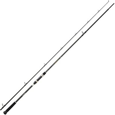 Daiwa Canne PROCASTER Game 302 XH - Publicité Daiwa Canne PROCASTER Game 302 XH - Publicité