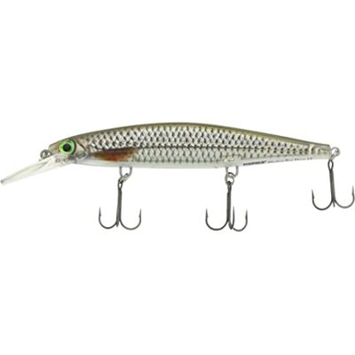 Rapala Leurre de Pêche Shadow Rap Deep Matériel de Pêche d'Eau Douce Leurre Pêche Réactif et Agressif Prof de Nage 1.2-2.4m Taille 11cm / 13g Fabriqué en Estonie Live Roach - Publicité Rapala Leurre de Pêche Shadow Rap Deep Matériel de Pêche d'Eau Douce Leurre Pêche Réactif et Agressif Prof de Nage 1.2-2.4m Taille 11cm / 13g Fabriqué en Estonie Live Roach - Publicité