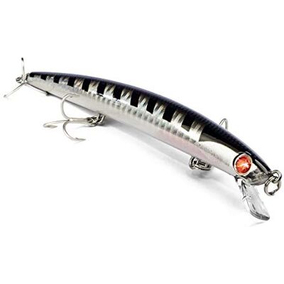 Seaspin Mommotti 140 SK – Leurre Artificiel pour la Pêche au Spinning, Long Jerk Minnow Sinking 140 mm 17 g – BKK 3X, Lancer Long – pour Bars Bar - Publicité Seaspin Mommotti 140 SK – Leurre Artificiel pour la Pêche au Spinning, Long Jerk Minnow Sinking 140 mm 17 g – BKK 3X, Lancer Long – pour Bars Bar - Publicité