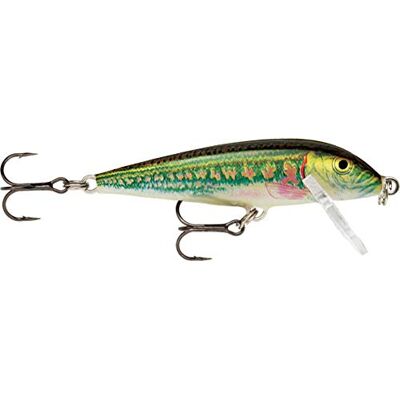Rapala Leurre de Pêche CountDown Matériel de Pêche avec Construction Balsa Leurre Pêche d'Eau Douce Profondeur de Nage 1.5-2.4m Taille 7cm / 8g Fabriqué en Estonie Minnow - Publicité Rapala Leurre de Pêche CountDown Matériel de Pêche avec Construction Balsa Leurre Pêche d'Eau Douce Profondeur de Nage 1.5-2.4m Taille 7cm / 8g Fabriqué en Estonie Minnow - Publicité