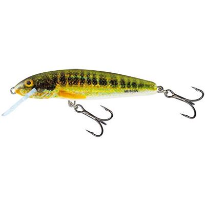 Salmo Minnow – Leurre pour truite brochet, sandre, bar, brochet , Holo Real Minnow - Publicité Salmo Minnow – Leurre pour truite brochet, sandre, bar, brochet , Holo Real Minnow - Publicité