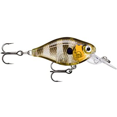 Rapala Leurre de Pêche X-Light Crank Mid Runner Construction Plastique Leurre Eau Douce Flottant Profondeur de Nage 1,8m Taille 3,5cm / 4g Fabriqué en Estonie Glassy Gill UV - Publicité Rapala Leurre de Pêche X-Light Crank Mid Runner Construction Plastique Leurre Eau Douce Flottant Profondeur de Nage 1,8m Taille 3,5cm / 4g Fabriqué en Estonie Glassy Gill UV - Publicité