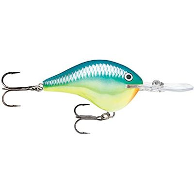 Rapala Leurre de Pêche DT (Dives-To) Series Matériel de Pêche avec Corps en Balsa Leurre Pêche en Eau Douce Prof de Nage 1.2m Taille 5cm / 9g Fabriqué en Estonie Caribbean Shad - Publicité Rapala Leurre de Pêche DT (Dives-To) Series Matériel de Pêche avec Corps en Balsa Leurre Pêche en Eau Douce Prof de Nage 1.2m Taille 5cm / 9g Fabriqué en Estonie Caribbean Shad - Publicité