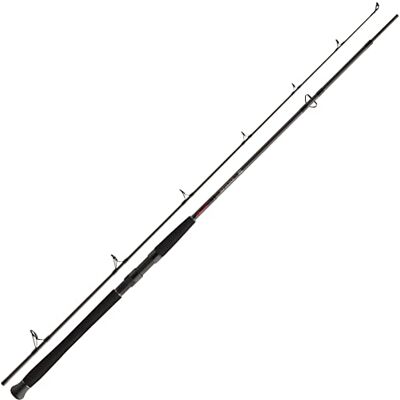 Daiwa Exceler Catfish Spin EXCCS 135G, 2,4 Mètres, 0-135 Grammes, 2 Éléments, Canne à Pêche Silure, - Publicité Daiwa Exceler Catfish Spin EXCCS 135G, 2,4 Mètres, 0-135 Grammes, 2 Éléments, Canne à Pêche Silure, - Publicité