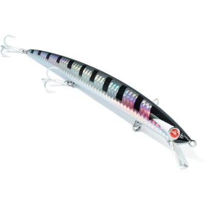 Seaspin Mommotti 180 SK – Leurre Artificiel pour la Pêche au Spinning, Long Jerk Minnow Slow Sinking 180 mm 29 g – BKK 4X, Lancers Longue Distance – pour Prédateurs Marins Bar - Publicité Seaspin Mommotti 180 SK – Leurre Artificiel pour la Pêche au Spinning, Long Jerk Minnow Slow Sinking 180 mm 29 g – BKK 4X, Lancers Longue Distance – pour Prédateurs Marins Bar - Publicité