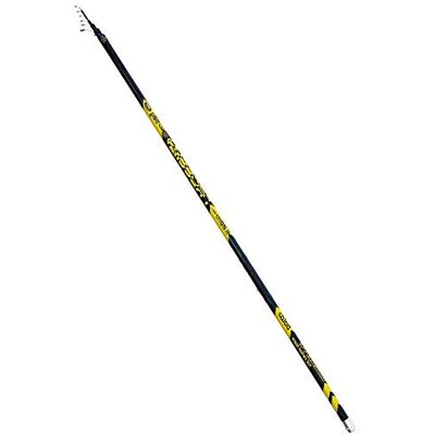 Lineaeffe Bolognese Fishing Rod Carbon 5-6-7 m - Publicité Lineaeffe Bolognese Fishing Rod Carbon 5-6-7 m - Publicité