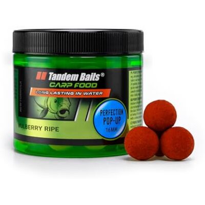 Tandem Baits Carp Food Perfection Mini Pop-Up Mûrier Mature, D'appâts pour carpes, Pêche de la Carpe, Peche, Pop-Ups, Bouillette Carpe, Professionnel Accessoires de Pêche Carpe 16mm 70g - Publicité Tandem Baits Carp Food Perfection Mini Pop-Up Mûrier Mature, D'appâts pour carpes, Pêche de la Carpe, Peche, Pop-Ups, Bouillette Carpe, Professionnel Accessoires de Pêche Carpe 16mm 70g - Publicité