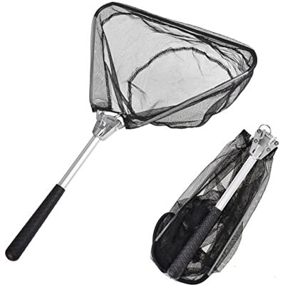 Aicharynic Épuisette de Pêche Télescopique 50 cm avec Filet Pliable Accessoire de Pêche pour Adultes et Enfants - Publicité Aicharynic Épuisette de Pêche Télescopique 50 cm avec Filet Pliable Accessoire de Pêche pour Adultes et Enfants - Publicité