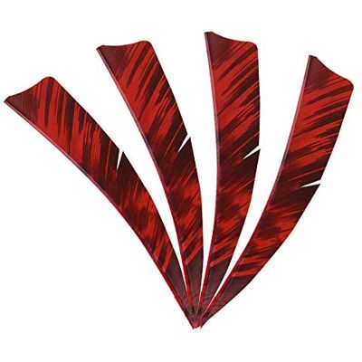 AMEYXGS MILAEM 50pcs tir à l'arc Plumes de flèche 4inch Naturelles fletches fletching pour DIY Flèches de Chasse Aile Gauche (Rouge) - Publicité AMEYXGS MILAEM 50pcs tir à l'arc Plumes de flèche 4inch Naturelles fletches fletching pour DIY Flèches de Chasse Aile Gauche (Rouge) - Publicité