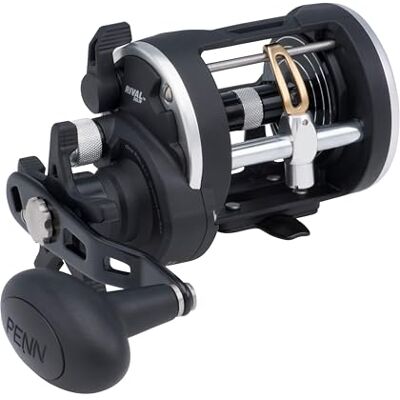 PENN Rival Level Wind Moulinet de pêche conventionnel en côte/Offshore, HT-100 Star Drag, Max de 6,8 kg 6,8 kg, Bobine en Aluminium forgé et usiné, 20, Multicolore - Publicité PENN Rival Level Wind Moulinet de pêche conventionnel en côte/Offshore, HT-100 Star Drag, Max de 6,8 kg 6,8 kg, Bobine en Aluminium forgé et usiné, 20, Multicolore - Publicité
