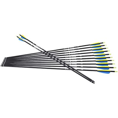ELONG OUTDOOR 28 Pouces flèches de Chasse 12 pcs,Tir à l'arc de Flèches pour Arc Classique et Arc à Poulies de Tir en Adultes Extérieur Cible d'entrainement - Publicité ELONG OUTDOOR 28 Pouces flèches de Chasse 12 pcs,Tir à l'arc de Flèches pour Arc Classique et Arc à Poulies de Tir en Adultes Extérieur Cible d'entrainement - Publicité