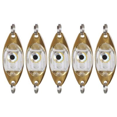 MiOYOOW 5 Pièces LED Leurre de Pêche Lumière, Lumières de Pêche à Chute Profonde sous-Marine LED Leurres de Pêche pour Eau Douce Salée - Publicité MiOYOOW 5 Pièces LED Leurre de Pêche Lumière, Lumières de Pêche à Chute Profonde sous-Marine LED Leurres de Pêche pour Eau Douce Salée - Publicité