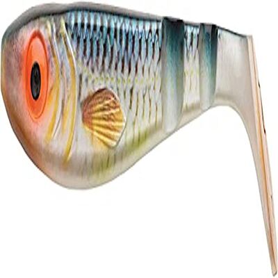 Abu Garcia Svartzonker Mcpike Leurre Souple de Type Shad pour la Pêche du Brochet, à Monter Sur Tête Plombée, Coloris Réalistes, Pêche au Bigbait - Publicité Abu Garcia Svartzonker Mcpike Leurre Souple de Type Shad pour la Pêche du Brochet, à Monter Sur Tête Plombée, Coloris Réalistes, Pêche au Bigbait - Publicité