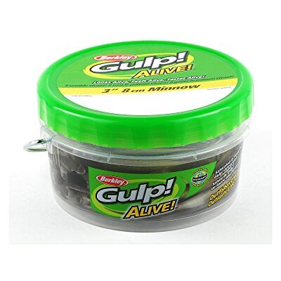 Berkley Gulp! Alive!® Minnow - Publicité Berkley Gulp! Alive!® Minnow - Publicité