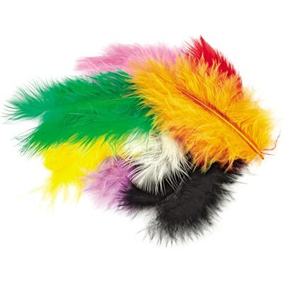 Meyco Plumes de marabout environ 15 pièces Multicolore le mélange - Publicité Meyco Plumes de marabout environ 15 pièces Multicolore le mélange - Publicité