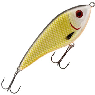 Westin Swim Glidebait 12 cm 53 g Suspending Official Roach - Publicité Westin Swim Glidebait 12 cm 53 g Suspending Official Roach - Publicité