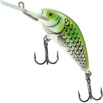 Salmo Leurre Flottant Hornet 7g - Publicité Salmo Leurre Flottant Hornet 7g - Publicité