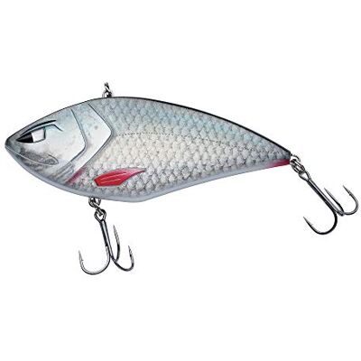 Berkley Zilla Lipless Leurre dur pour la Pêche du Brochet en Eau Douce, Cranckbait Jerkbait Plongeant, Hameçon Fusion, Action Rolling, sans Plomb, Roach - Publicité Berkley Zilla Lipless Leurre dur pour la Pêche du Brochet en Eau Douce, Cranckbait Jerkbait Plongeant, Hameçon Fusion, Action Rolling, sans Plomb, Roach - Publicité