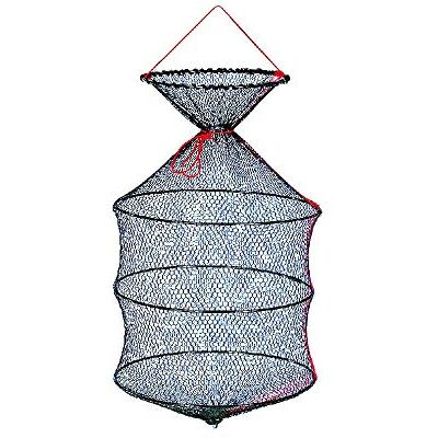 Jenzi Bourriche 35 cm, Mixte - Publicité Jenzi Bourriche 35 cm, Mixte - Publicité
