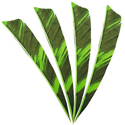 AMEYXGS MILAEM 50pcs tir à l'arc Plumes de flèche 4inch Naturelles fletches fletching pour DIY Flèches de Chasse Aile Gauche (Vert) - Publicité AMEYXGS MILAEM 50pcs tir à l'arc Plumes de flèche 4inch Naturelles fletches fletching pour DIY Flèches de Chasse Aile Gauche (Vert) - Publicité