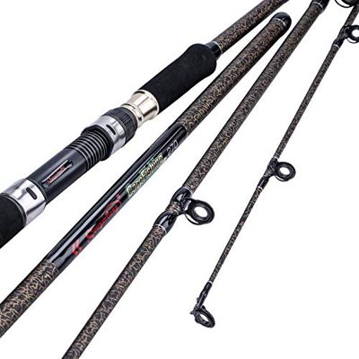 Sougayilang Canne à pêche à la Carpe, Porable High Carbon 4 Pc Blanks Canne à pêche à la Carpe pour Le Voyage Pêche en Eau Douce - Publicité Sougayilang Canne à pêche à la Carpe, Porable High Carbon 4 Pc Blanks Canne à pêche à la Carpe pour Le Voyage Pêche en Eau Douce - Publicité