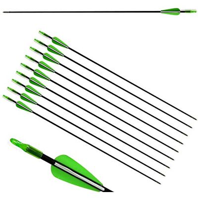 ZSHJG 12pcs Flèches en Fibre de Verre 31 Pouces Flèches d'entraînement de Cible Spine 900 Flèches de Chasse avec Flèche Carquois pour 35 Lbs Arc Recourbé Arc Long (Vert) - Publicité ZSHJG 12pcs Flèches en Fibre de Verre 31 Pouces Flèches d'entraînement de Cible Spine 900 Flèches de Chasse avec Flèche Carquois pour 35 Lbs Arc Recourbé Arc Long (Vert) - Publicité