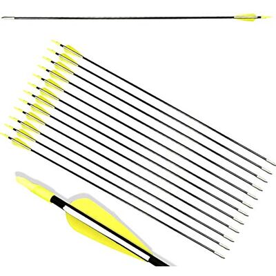 ZSHJG 12pcs Flèches en Fibre de Verre 31 Pouces Flèches d'entraînement de Cible Spine 900 Flèches de Chasse avec Flèche Carquois pour 35 Lbs Arc Recourbé Arc Long (Jaune) - Publicité ZSHJG 12pcs Flèches en Fibre de Verre 31 Pouces Flèches d'entraînement de Cible Spine 900 Flèches de Chasse avec Flèche Carquois pour 35 Lbs Arc Recourbé Arc Long (Jaune) - Publicité