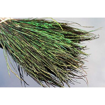 Tigofly Lot de 400 brins de plumes de paon naturelles pour nymphes, serpentins mouillés, mouches, longueur 10,2 20,3 cm - Publicité Tigofly Lot de 400 brins de plumes de paon naturelles pour nymphes, serpentins mouillés, mouches, longueur 10,2 20,3 cm - Publicité