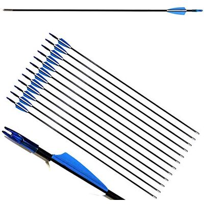 ZSHJG 12pcs Flèches en Fibre de Verre 31 Pouces Flèches d'entraînement de Cible Spine 900 Flèches de Chasse avec Flèche Carquois pour 35 Lbs Arc Recourbé Arc Long (Bleu) - Publicité ZSHJG 12pcs Flèches en Fibre de Verre 31 Pouces Flèches d'entraînement de Cible Spine 900 Flèches de Chasse avec Flèche Carquois pour 35 Lbs Arc Recourbé Arc Long (Bleu) - Publicité