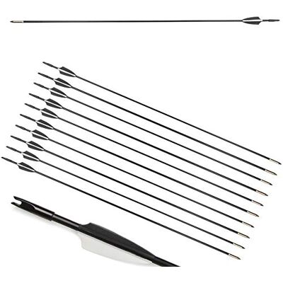 ZSHJG 12pcs Flèches en Fibre de Verre 31 Pouces Flèches d'entraînement de Cible Spine 900 Flèches de Chasse avec Flèche Carquois pour 35 Lbs Arc Recourbé Arc Long (Noir) - Publicité ZSHJG 12pcs Flèches en Fibre de Verre 31 Pouces Flèches d'entraînement de Cible Spine 900 Flèches de Chasse avec Flèche Carquois pour 35 Lbs Arc Recourbé Arc Long (Noir) - Publicité