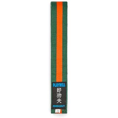 Playwell Ceinture d'arts martiaux en coton coloré avec différentes bandes de couleur – (karaté, judo taekwondo), Ceinture verte avec rayures orange, 300cm - Publicité Playwell Ceinture d'arts martiaux en coton coloré avec différentes bandes de couleur – (karaté, judo taekwondo), Ceinture verte avec rayures orange, 300cm - Publicité