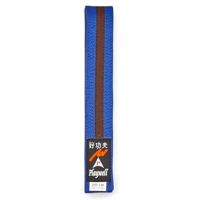 Playwell Ceinture d'arts martiaux en coton coloré avec différentes bandes de couleur – (karaté, judo taekwondo), Ceinture bleue avec rayures marron, 280cm - Publicité Playwell Ceinture d'arts martiaux en coton coloré avec différentes bandes de couleur – (karaté, judo taekwondo), Ceinture bleue avec rayures marron, 280cm - Publicité