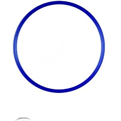 Visiodirect Cerceau Plat en polypropylène de Couleur Bleu, diamètre 60 cm - Publicité Visiodirect Cerceau Plat en polypropylène de Couleur Bleu, diamètre 60 cm - Publicité