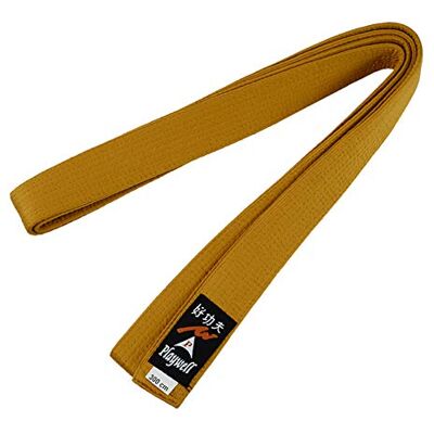 Playwell Arts Martiaux Uni Satin Or Coloré Classement Ceinture Neuf (220cm) - Publicité Playwell Arts Martiaux Uni Satin Or Coloré Classement Ceinture Neuf (220cm) - Publicité