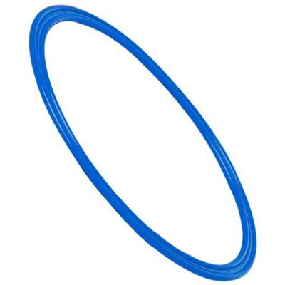 Visiodirect Cerceau Plat en polypropylène de Couleur Bleu diamètre70 cm - Publicité Visiodirect Cerceau Plat en polypropylène de Couleur Bleu diamètre70 cm - Publicité