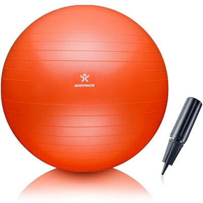 BODYMATE Ballon Fitness + Pompe Incluse + E-Book Gratuit Orange 65cm - Publicité BODYMATE Ballon Fitness + Pompe Incluse + E-Book Gratuit Orange 65cm - Publicité