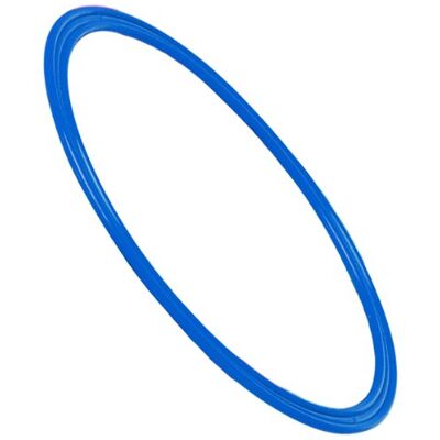 Visiodirect Cerceau Plat en polypropylène de Couleur Bleu, diamètre 35 cm - Publicité Visiodirect Cerceau Plat en polypropylène de Couleur Bleu, diamètre 35 cm - Publicité