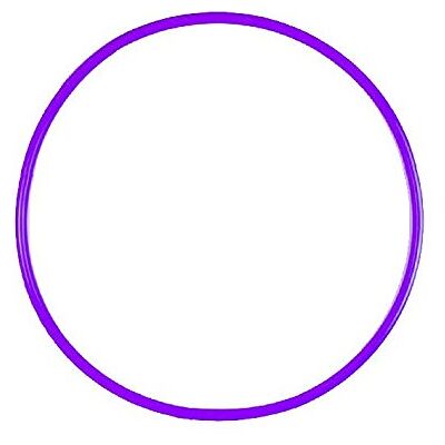 Visiodirect Cerceau Rond 75 cm en PEHD Coloris Violet - Publicité Visiodirect Cerceau Rond 75 cm en PEHD Coloris Violet - Publicité