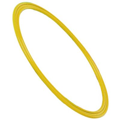 Visiodirect Cerceau Plat en polypropylène de Couleur Jaune, diamètre 60 cm - Publicité Visiodirect Cerceau Plat en polypropylène de Couleur Jaune, diamètre 60 cm - Publicité