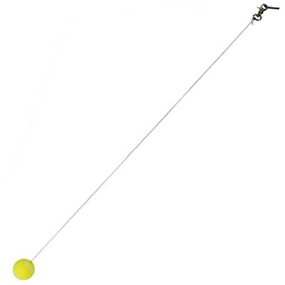 Best Sporting Balle de rechange avec cordon I Balle de tennis sur cordon avec mousqueton I Boule de rechange Circletennis - Publicité Best Sporting Balle de rechange avec cordon I Balle de tennis sur cordon avec mousqueton I Boule de rechange Circletennis - Publicité
