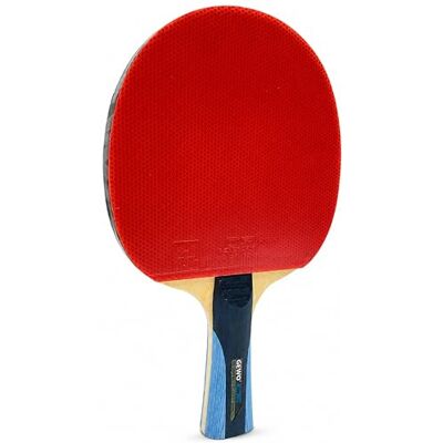 GEWO CS Energy Control - Raquette de Tennis de Table Approuvée ITTF Léger Contrôle - Publicité GEWO CS Energy Control - Raquette de Tennis de Table Approuvée ITTF Léger Contrôle - Publicité
