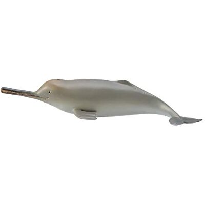 Collecta 3388611 Figurine Animaux Marins Dauphin du Gange - Publicité Collecta 3388611 Figurine Animaux Marins Dauphin du Gange - Publicité