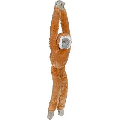 WILD REPUBLIC Gibbon suspendu à main blanche en Peluche Ecokins , Animal en Peluche 56cm Idée Cadeau Bébé, Grande Peluche, Jouet Écologique, Bouteilles d’Eau recyclées, Décoration pour Chambre d’Enfant - Publicité WILD REPUBLIC Gibbon suspendu à main blanche en Peluche Ecokins , Animal en Peluche 56cm Idée Cadeau Bébé, Grande Peluche, Jouet Écologique, Bouteilles d’Eau recyclées, Décoration pour Chambre d’Enfant - Publicité