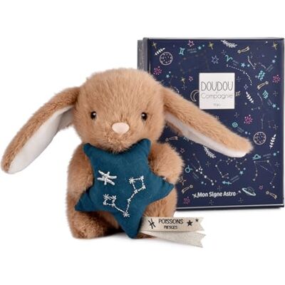 Doudou et Compagnie Petit Doudou Lapin Poissons 12 cm Peluche Bébé Collection Astro Constellation Brodée & Étoile Idée Cadeau Naissance Bébé Fille Garçon Premier Doudou Doux DC4662 - Publicité Doudou et Compagnie Petit Doudou Lapin Poissons 12 cm Peluche Bébé Collection Astro Constellation Brodée & Étoile Idée Cadeau Naissance Bébé Fille Garçon Premier Doudou Doux DC4662 - Publicité